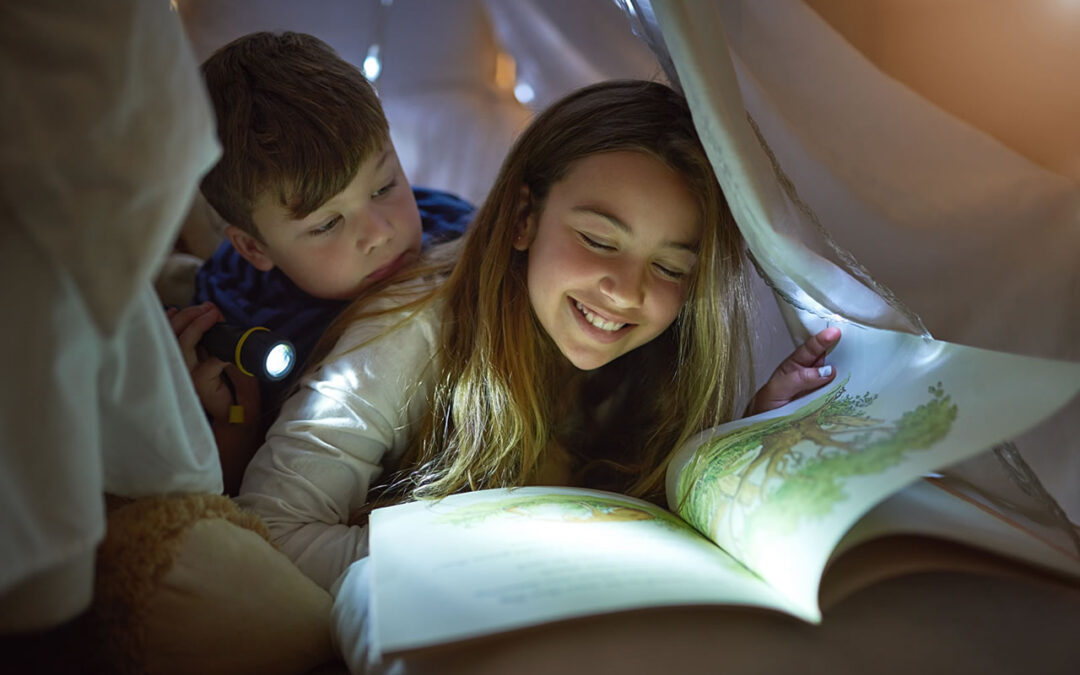 5 Attractive Bookstore WordPress Themes